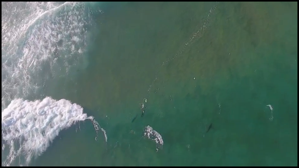 [Image: 3rbemtx9dv66.png]