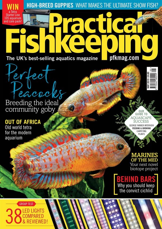 Practical-Fishkeeping-May-2019.jpg