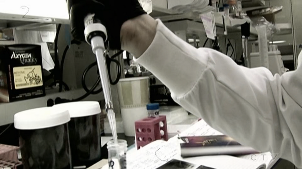 [Image: sj8rn7qhx1o1.png]