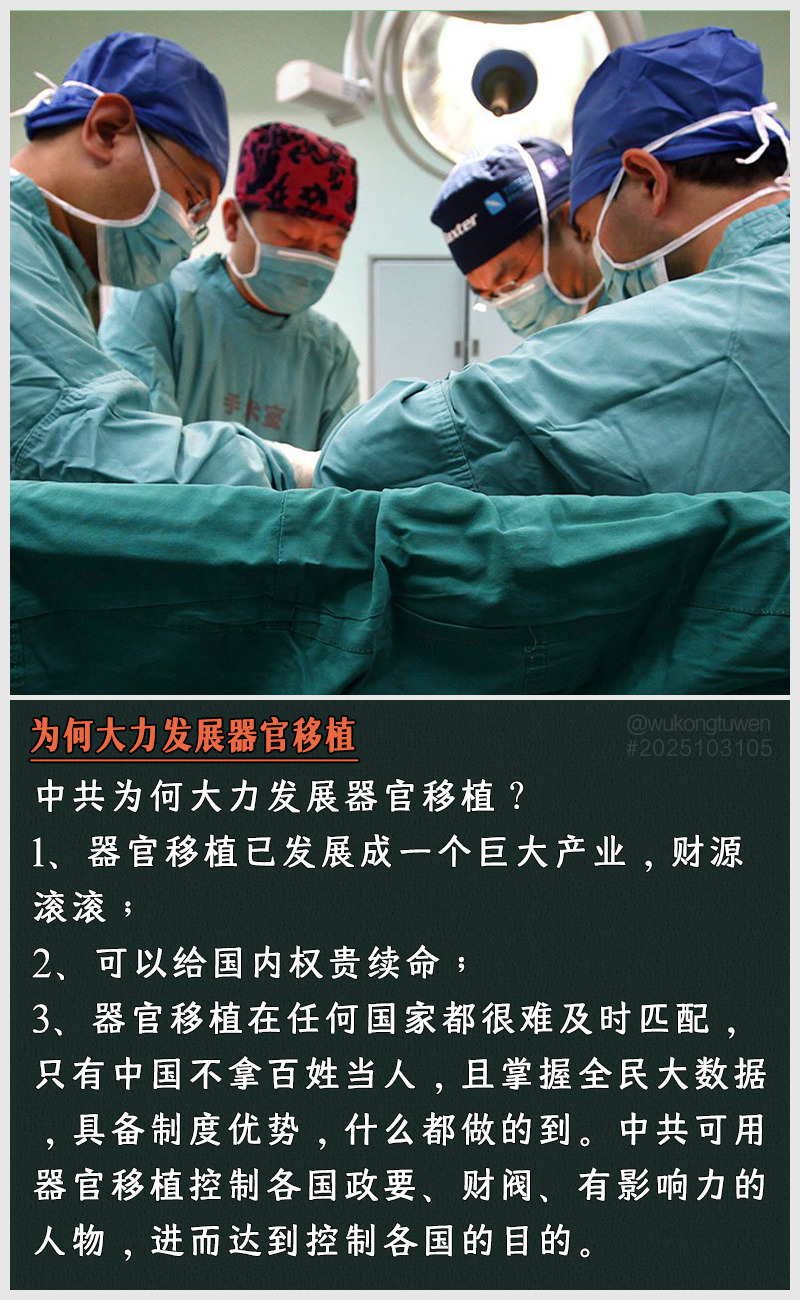 https://i.postimg.cc/x9ZDcSjN/2025103105-wei-he-da-li-fa-zhan-qi-guan-yi-zhi.jpg
