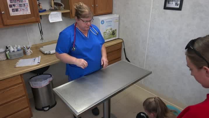 [Image: c9nn0vojv3r3.jpg]