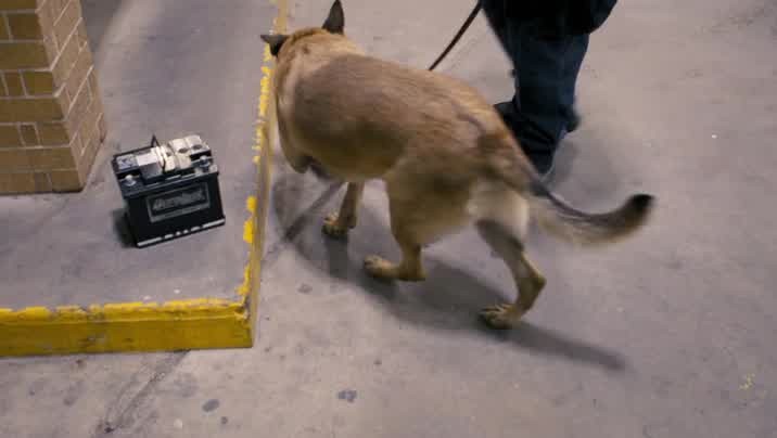 [Image: uc4qwn5p8pj4.jpg]