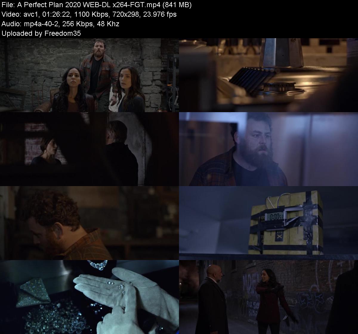 A-Perfect-Plan-2020-WEB-DL-x264-FGT.jpg