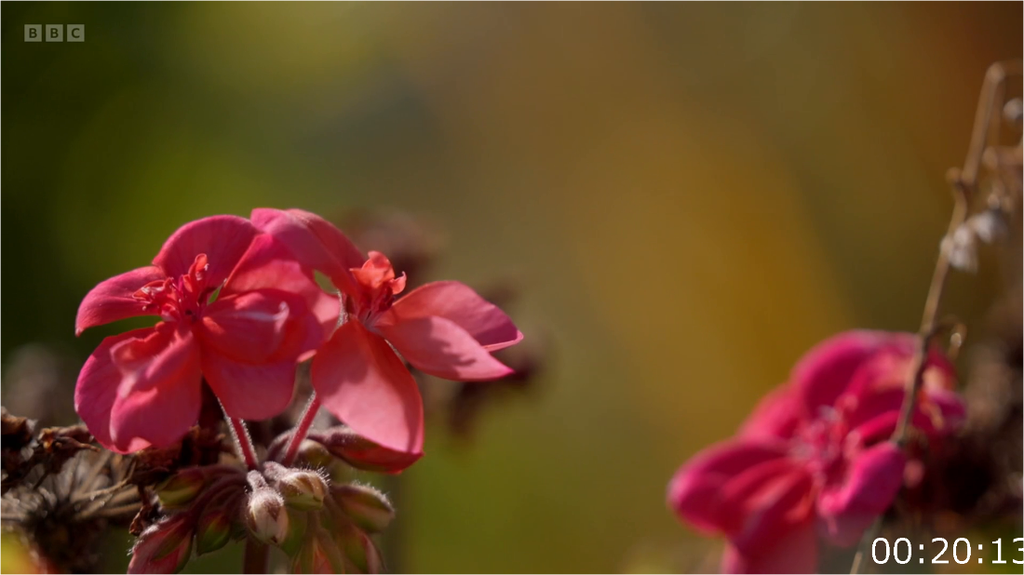 [Image: 7p3yazus9qy3.png]