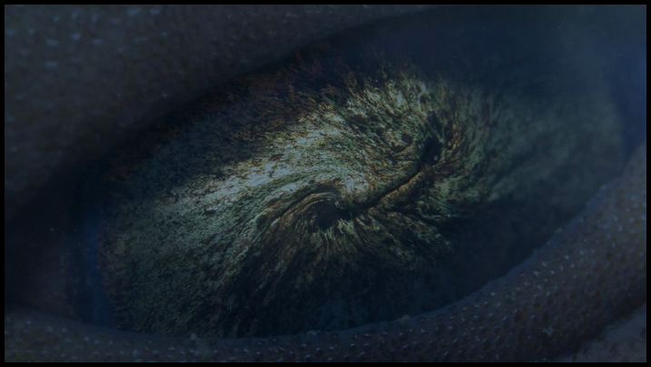 [Image: 61l2yfmk8wnj.png]