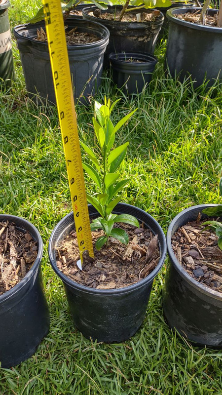 photo_2025-07-23_09-30-07 (7)