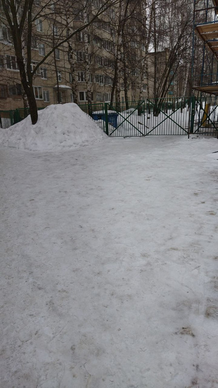 photo_2023-02-09_09-00-24 (2)