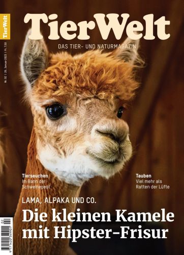 Cover: TierWelt Magazin No 02 vom 26  Januar 2023