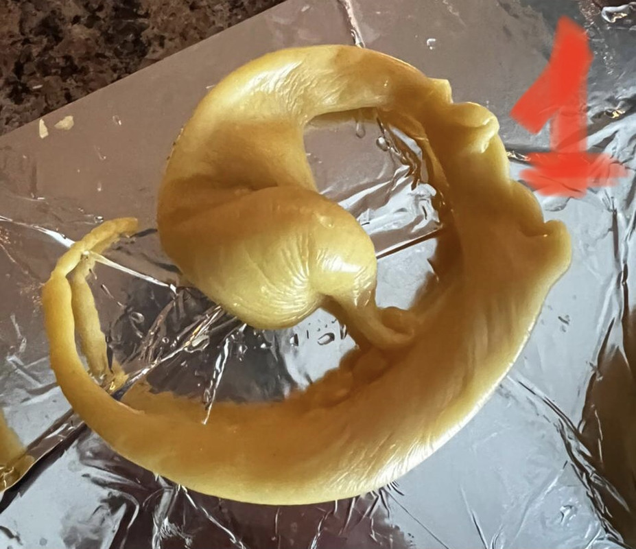 8F60654D-3451-4596-9665-A6580E5DAFBD