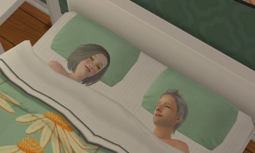 Sims2-EP9-2020-10-25-17-09-21-67