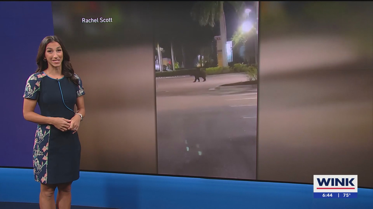 WINK News at 630am_20250526_11301200.ts_snapshot_15.54.869