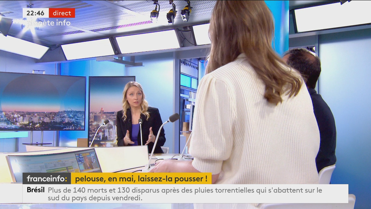Planète info (Franceinfo)_2024_05_13_20_58_89.ts_snapshot_00.49.12.818