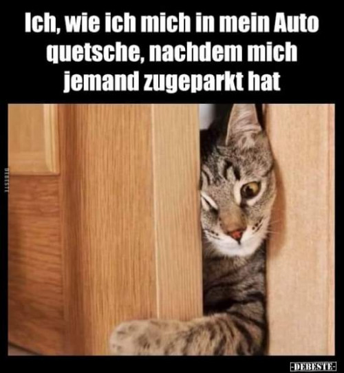 thumbs-picdump909-009.jpg