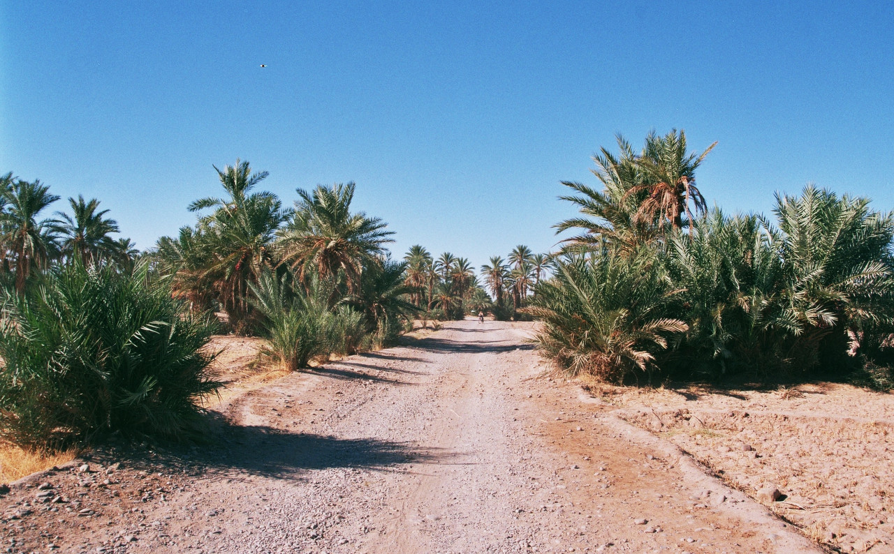 Mhamid el Ghizlane, en la frontera del Sáhara - El Valle del Drâa, la gran arteria del sur de Marruecos (13)