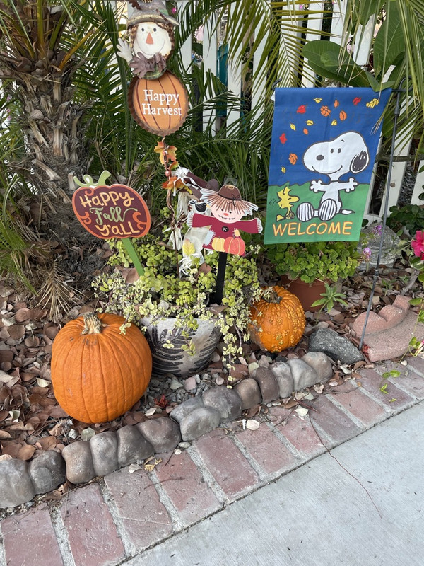 E705398-B-0-B9-A-48-D1-BA0-C-864-AB6-D5115-B-1-105-c