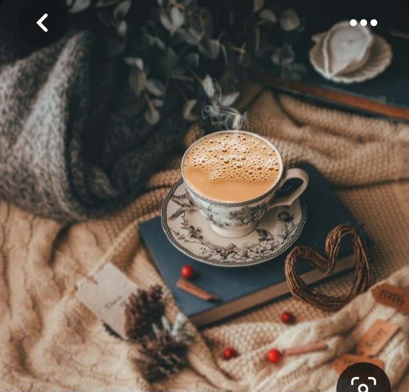 Screenshot_20230616_141339_Pinterest