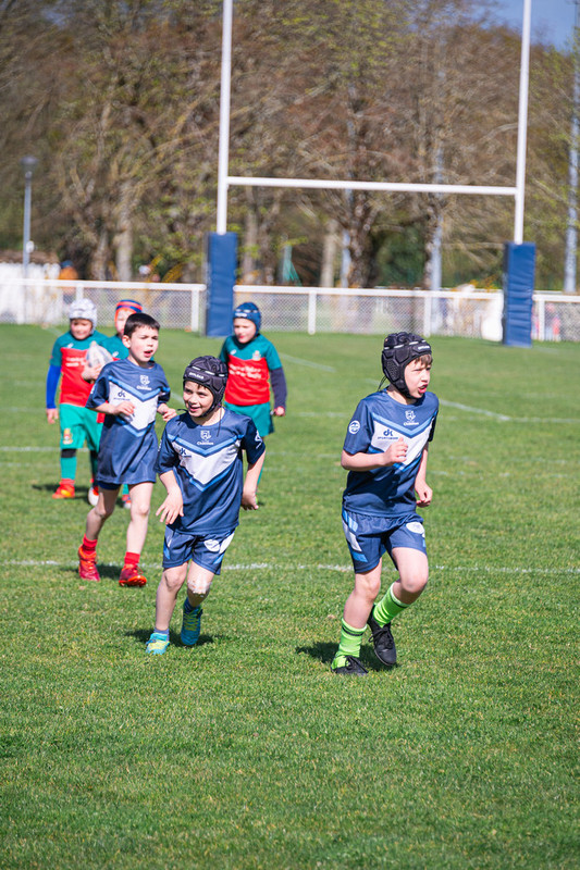 tournoi-de-latlantique-2026-adonis-griffon-174-55181282521-l