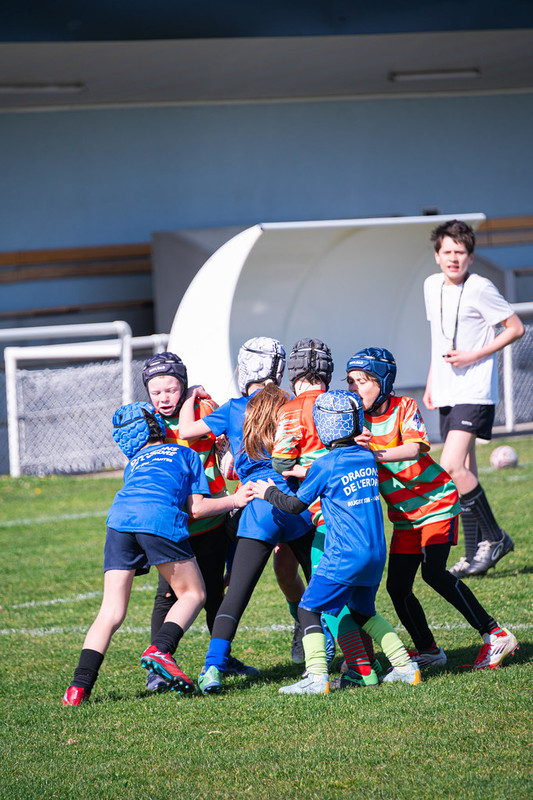 tournoi-de-latlantique-2026-adonis-griffon-180-55181445543-l