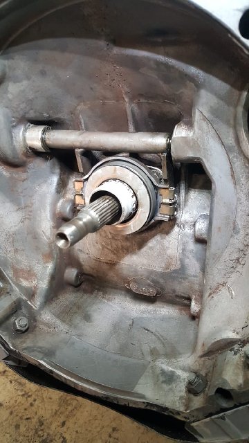 7A5232B8-638A-4130-A558-57C5E1064CB8