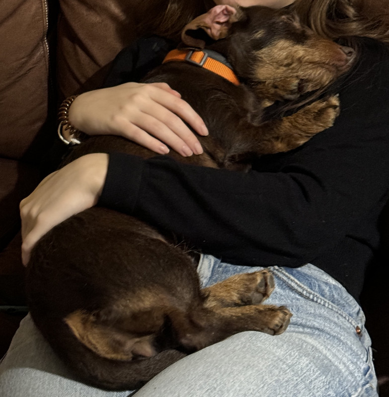 [Image: IMG-0288.jpg]