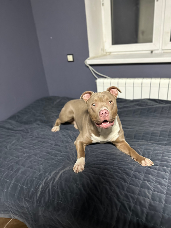 138E5E9E-F610-47B7-A757-59D6A07BC635