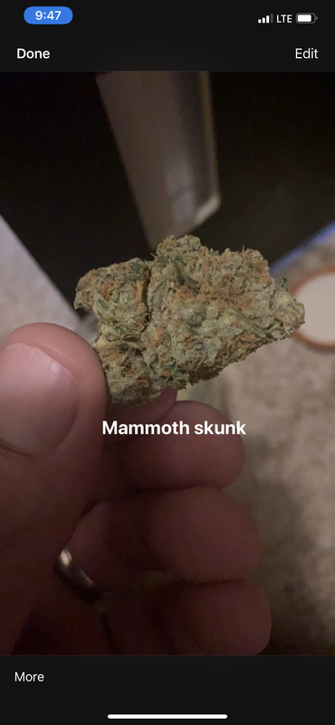 1C563158-A900-4330-A407-9122C97C5589