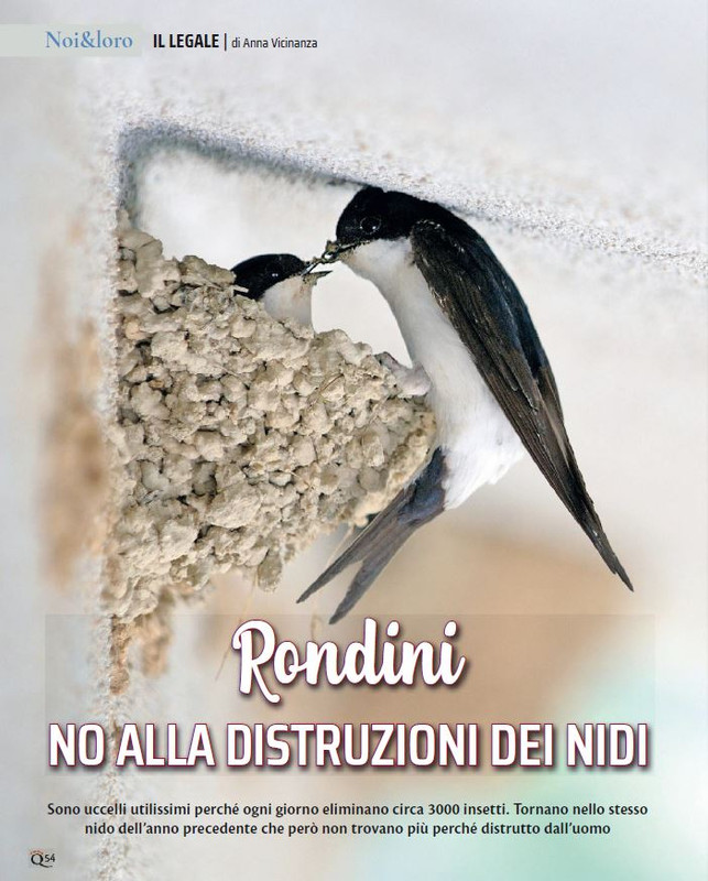 QuattroZampe Apr 2023 (7)