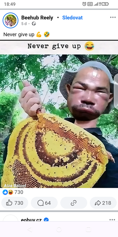 Screenshot_20250812-184917