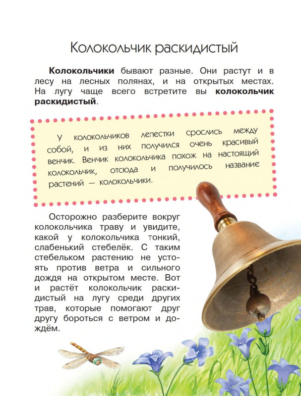 Onegov-Anatolij-Pochemu-kukushka-slozki-lot-page-0037