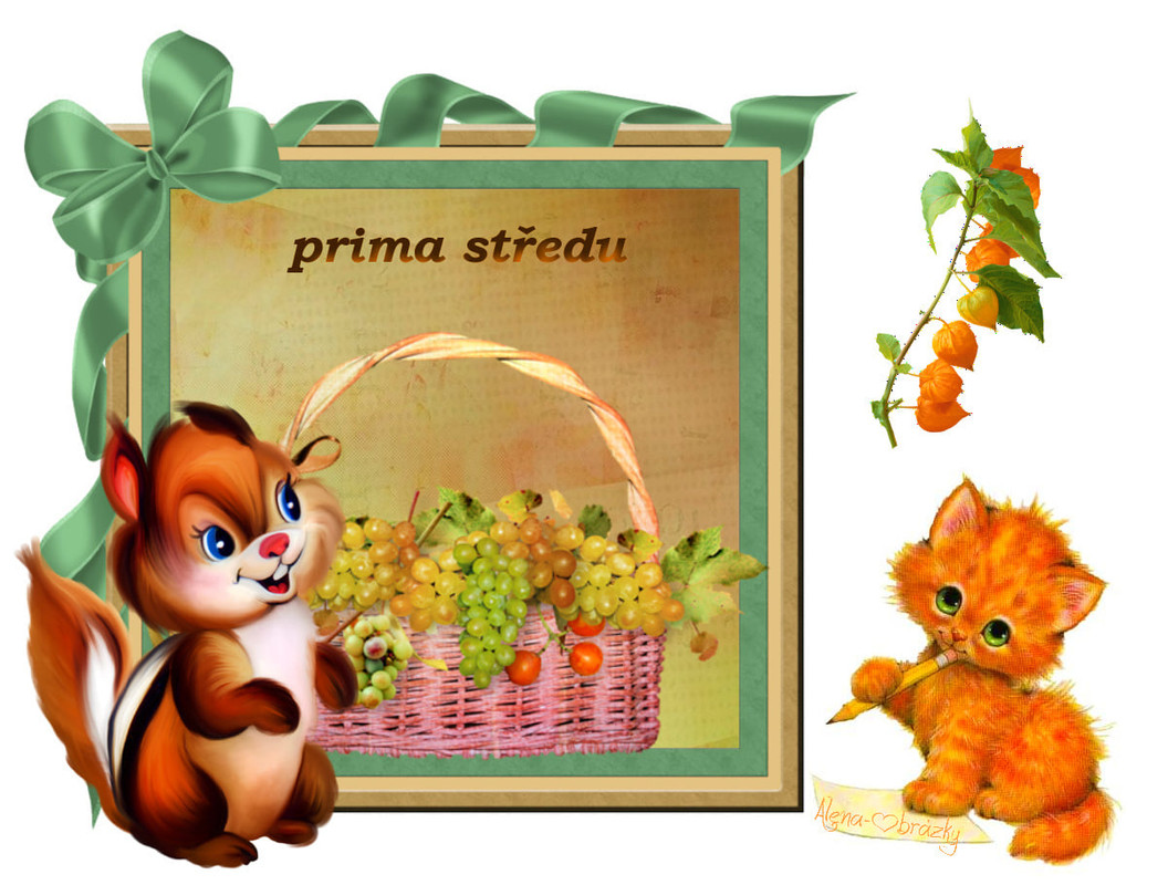 241338851_4476173115773869_1254334808899061017_n