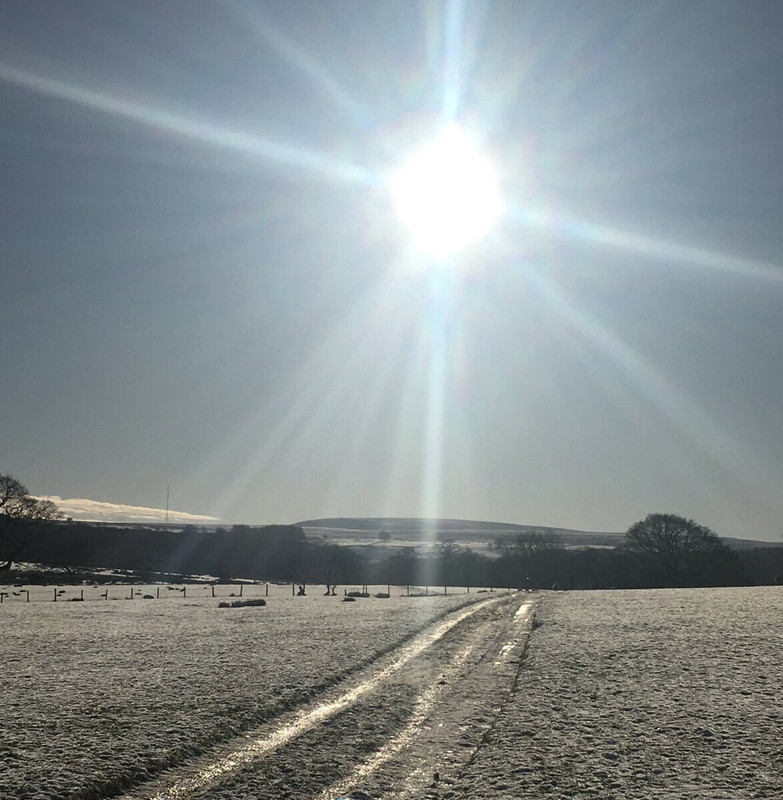 C60DC5E5-6E04-4540-BF10-0EB092980990