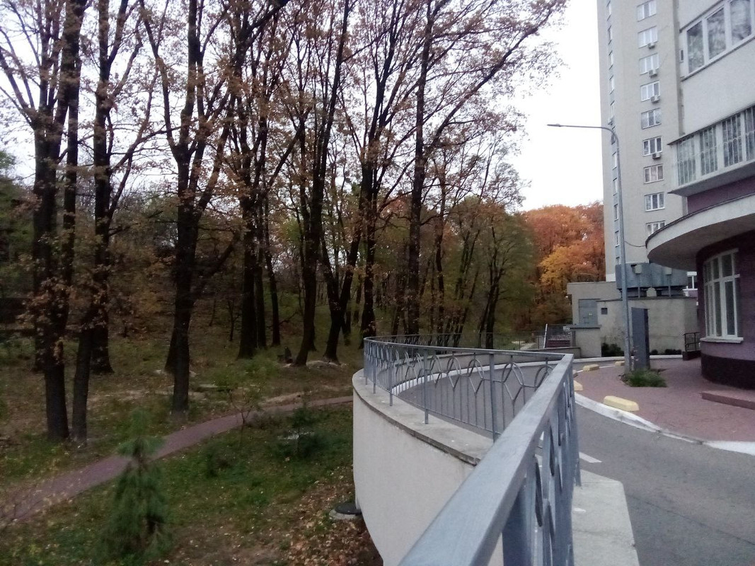 photo_2024-11-12 5.01.41 пп