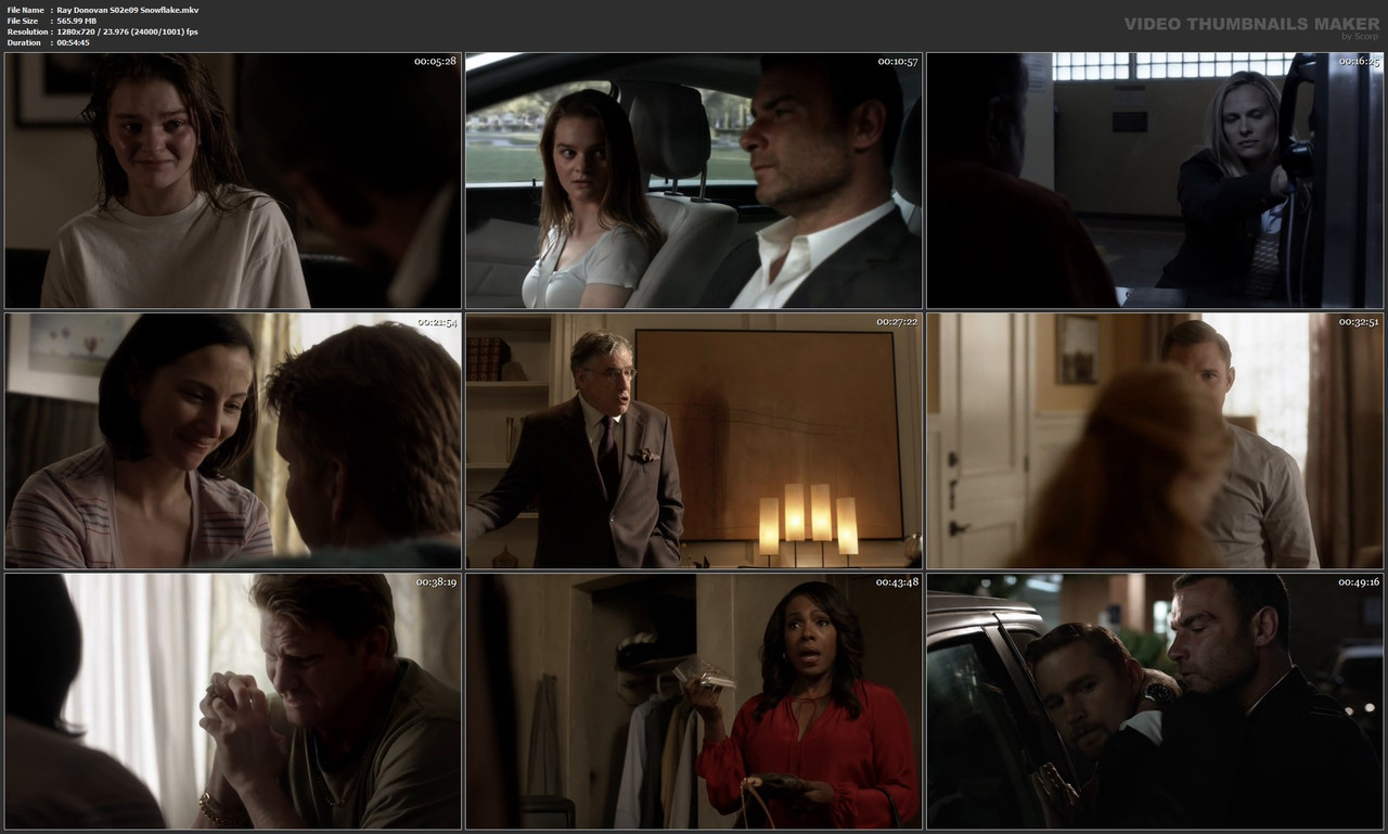 Ray Donovan S02e09 Snowflake.mkv