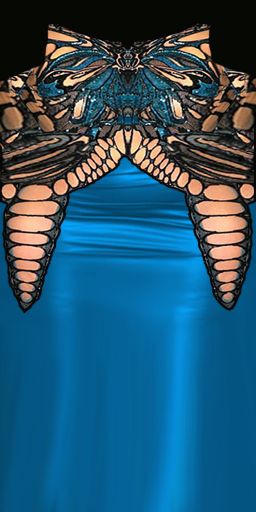 mariposa-rfrente-t