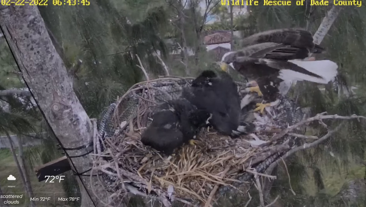 F14F58E6-7DA2-4317-87CA-FE00DBEE26AD