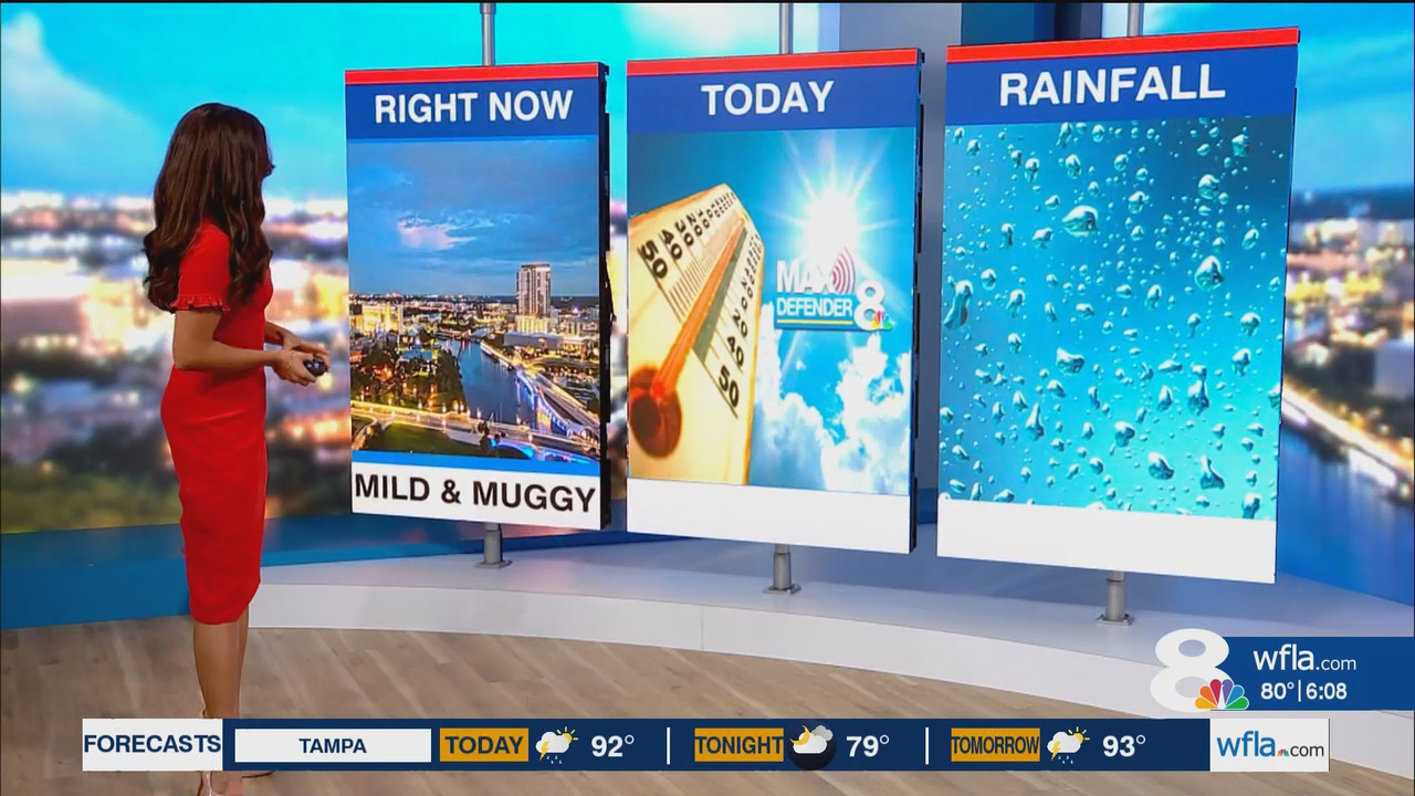 NewsChannel 8 Today at 6a_20250616_11001200.ts_snapshot_00.09.14.189