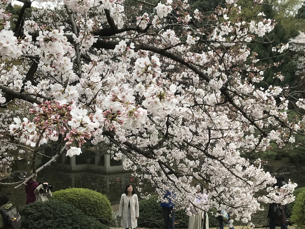 39D8969D-14F1-4FC1-9F23-FD67AD923583