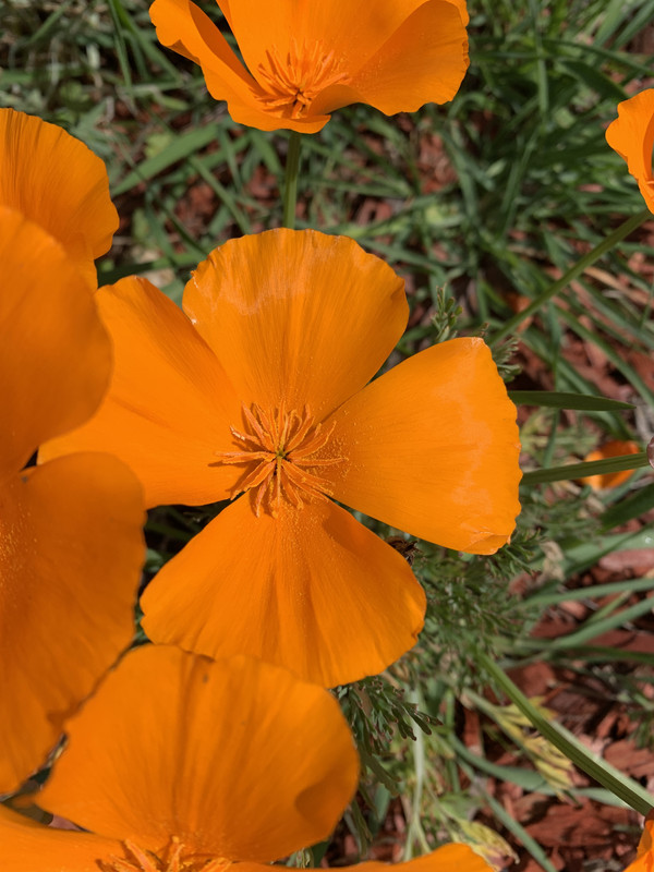 0C1334F3-DEBC-48FB-B6CB-8C455914E6C7