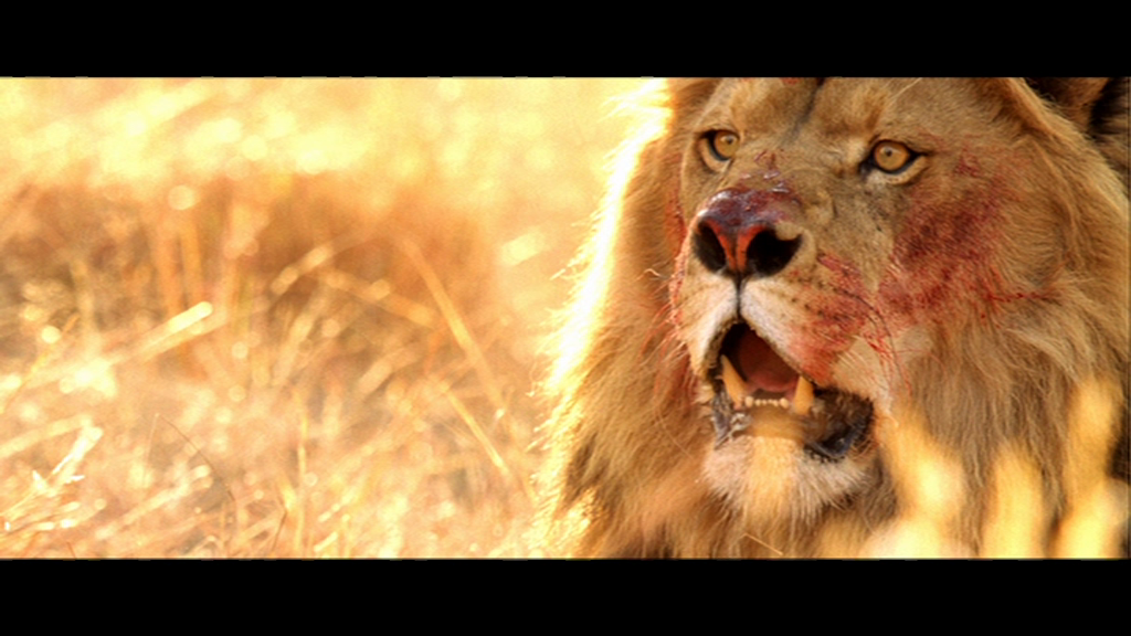 vlcsnap-2018-09-11-01h12m23s048