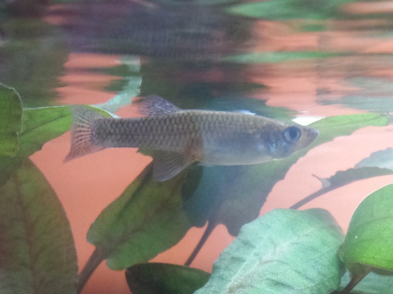 20130917_152500 (Copia)