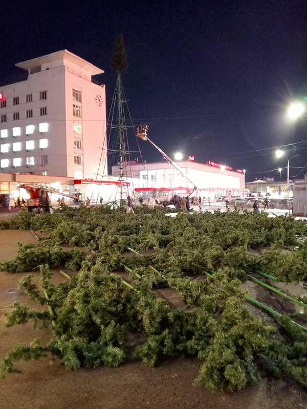 IMG_20241122_170806_(800_x_1067_пиксель)