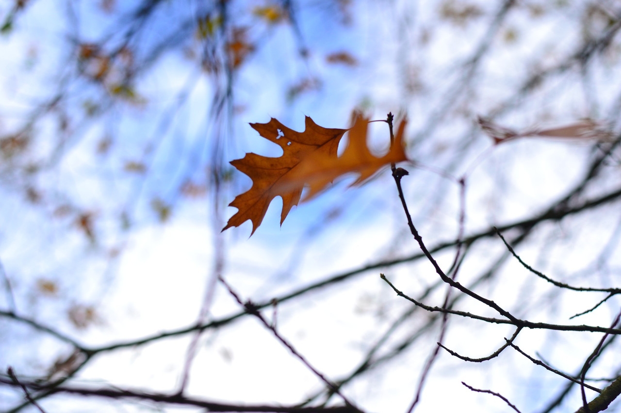 580131829 25115695868047019 4428904255199456974 n