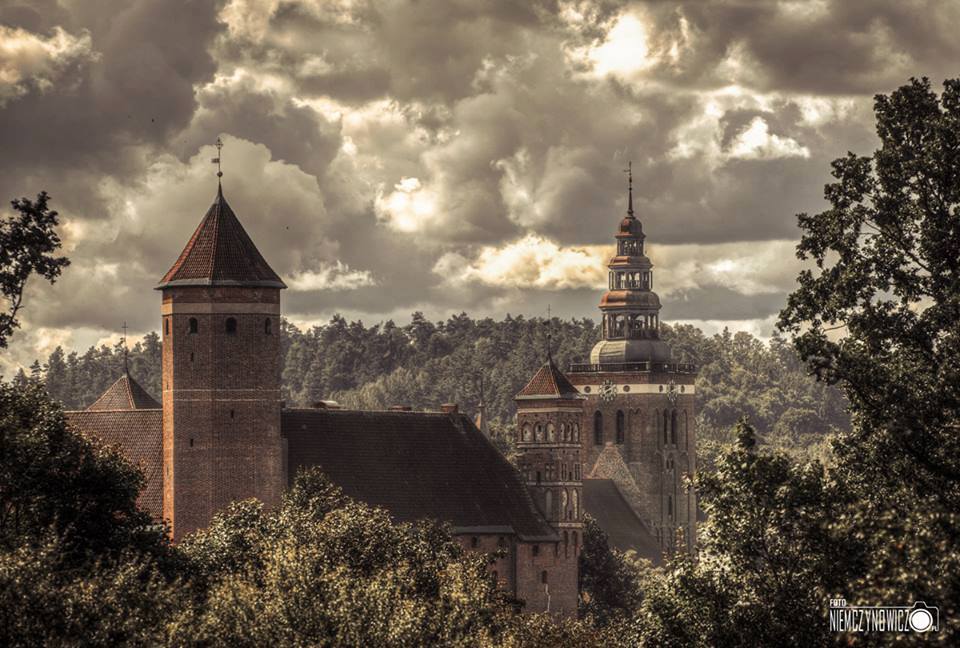 12734148-10204666373494085-1066852095910