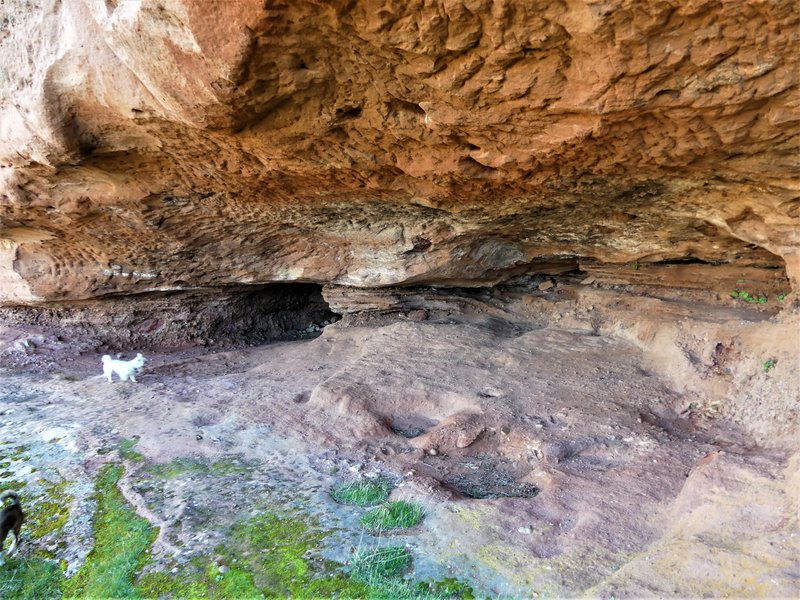 YACIMIENTO ARQUEOLOGICO DE TIERMES-16-2-2020 - Soria y sus pueblos-2010/2013/2020 (66)
