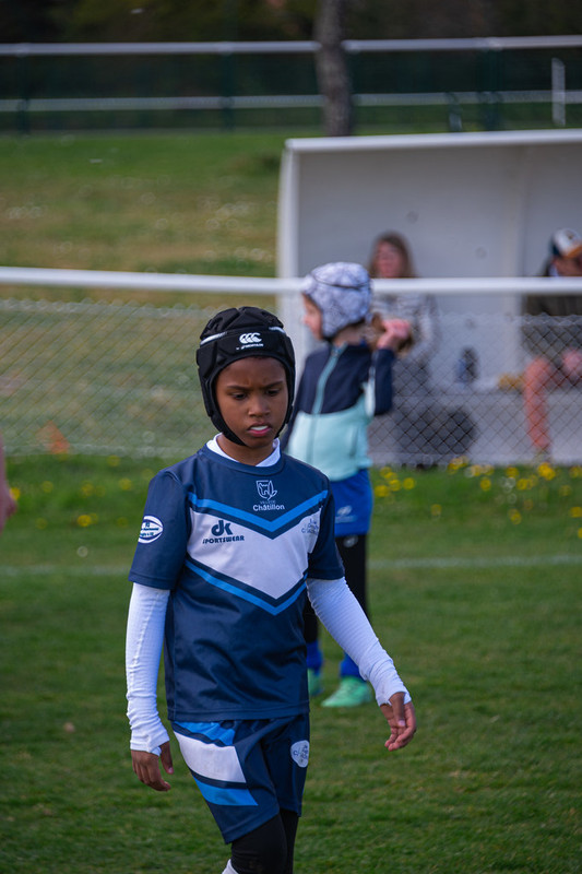 tournoi-de-latlantique-2026-adonis-griffon-93-55181457073-l