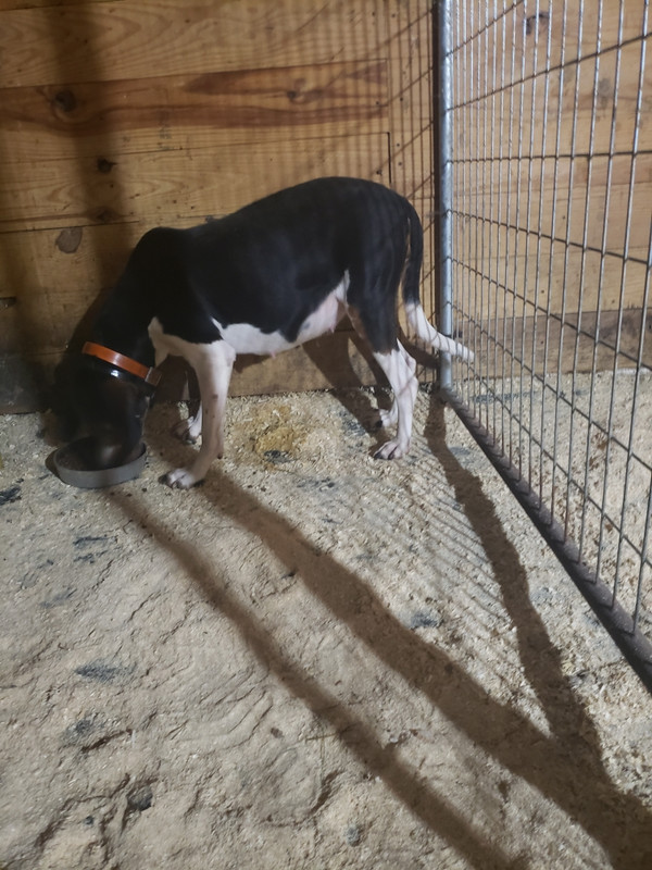 BB488816-689C-4BEF-AEB6-97B4CD1CE953