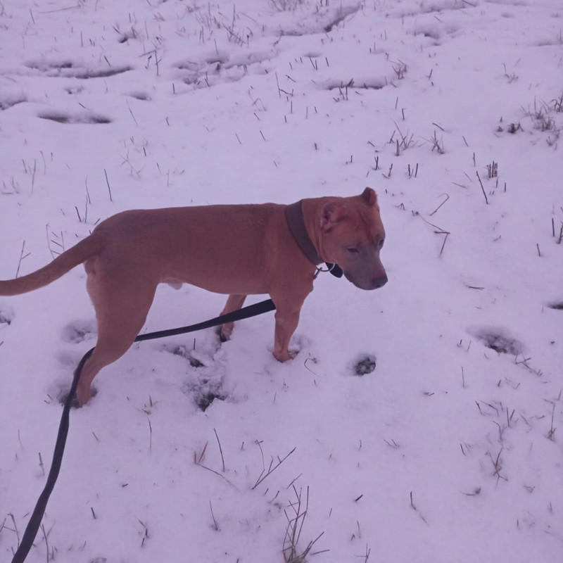 FBEA0F87-82BF-432E-BA01-3EB000921B18