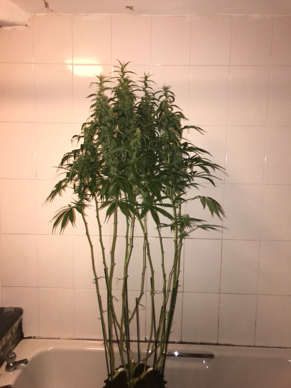 82DF8031-BB15-4DF5-A6F5-AD3D9793F985