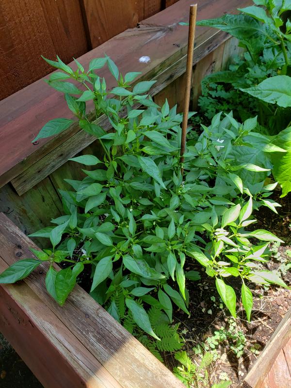 [Image: 20190620-131754.jpg]