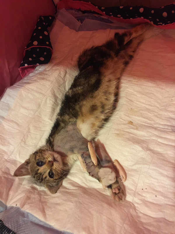 6AB2644A-46EA-4A59-BC23-385481373E6E